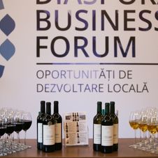 Diaspora Business Forum Chisinau 2016